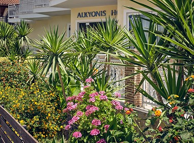 Laganas Zakynthos - Alkyonis Hotel Foto 12