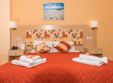 Argassi, Zante, Zakynthos - Anemona Beach Hotel Photo 5