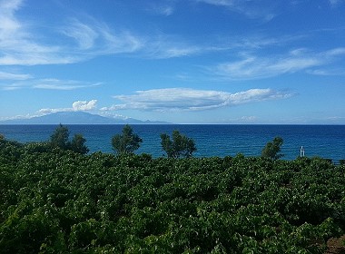 Amoudi Zakynthos - Antonis Apartments Photo 7