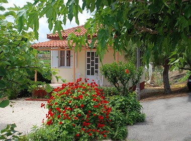 Drosia Beach - Kipseli, Zakynthos,Zante - Beach Bungalows Photo 3