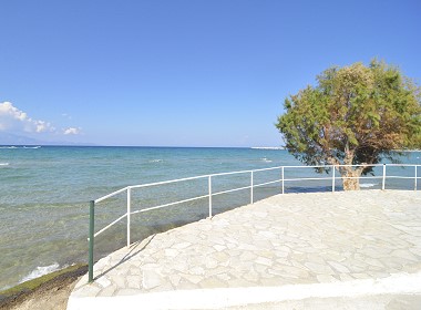 Alykanas Zakynthos - Oasis Apartments & Studios Photo 3