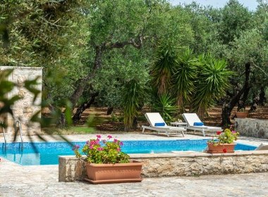 Tragaki, Zakynthos - Olivegrove Villa Photo 12