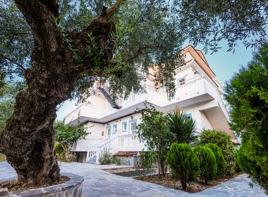 Laganas - Zante Island Zakynthos - Tassos & Marios Apartments Photo 2