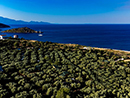 Thalassa Green - Agios Nikolaos Zante