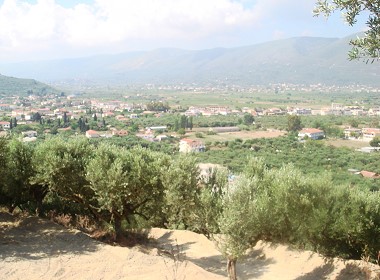 Alykanas, Zakynthos -  Photo 3